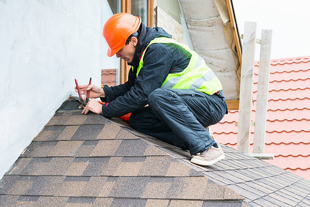 Roof Gutter Cleaning in Brookside Village, TX